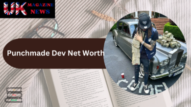 punchmade dev net worth